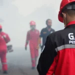 Jasa Fogging Nyamuk di Sidoarjo Ahli Basmi Nyamuk DBD Jasa Fogging di Malang