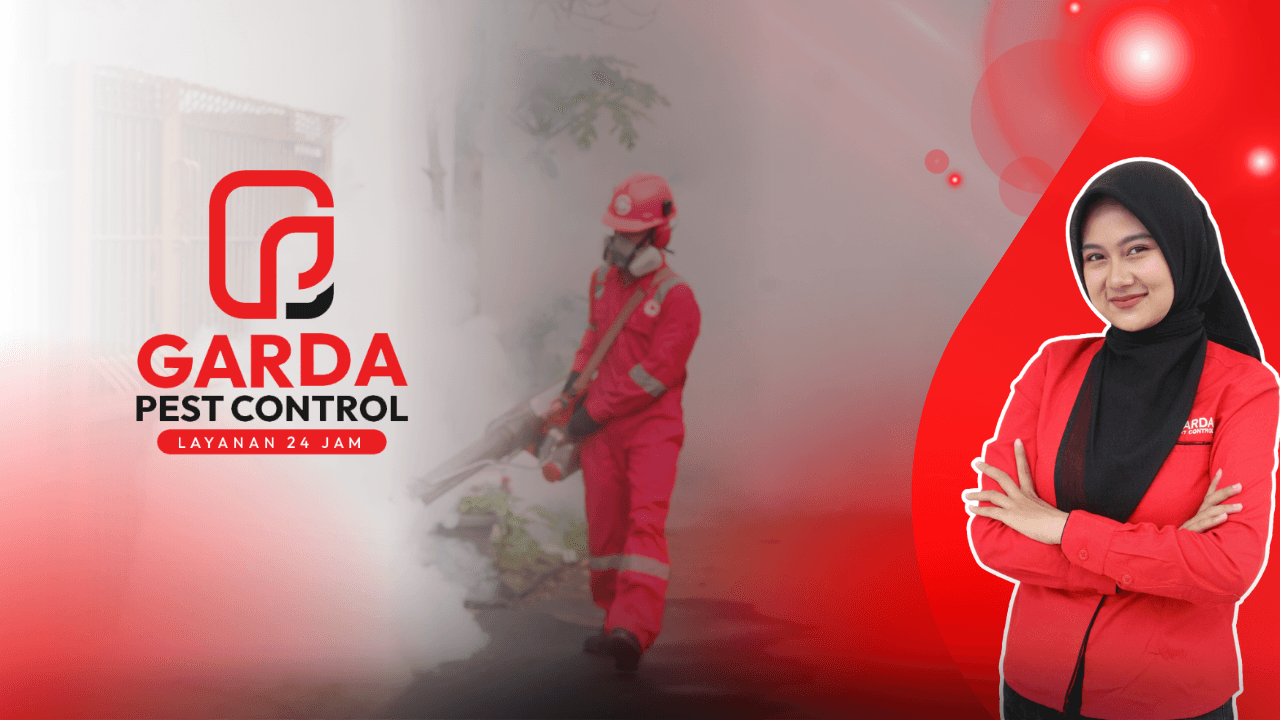 Jasa Fogging Nyamuk DBD Basmi Tuntas