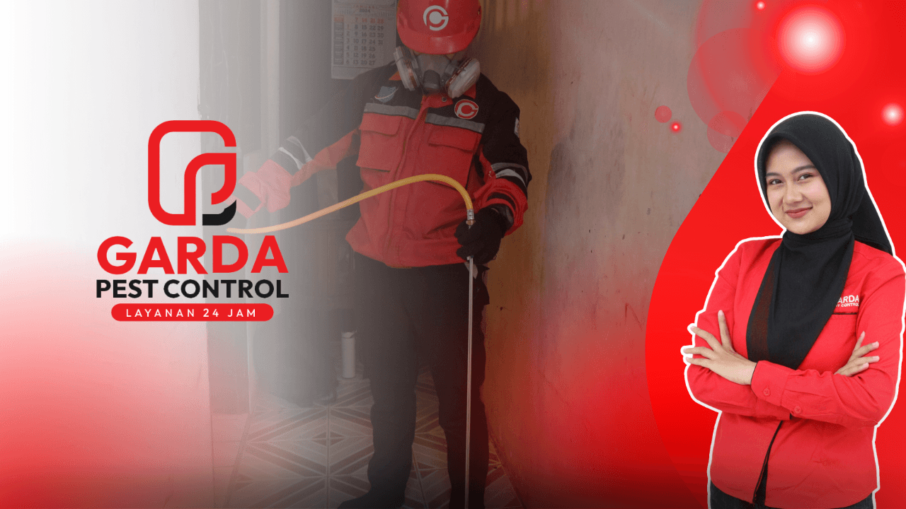 Jasa Pembasmi Rayap di Purwokerto Bergaransi 3 Tahun