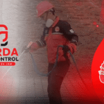 Jasa Basmi Rayap Jakarta Kualitas Terjamin Bergaransi