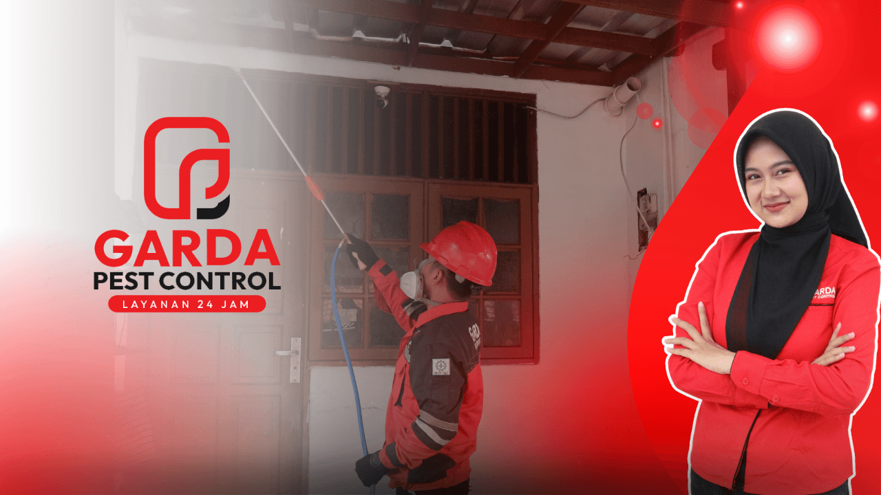 Jasa Anti Rayap di Bekasi Bergaransi 5 Tahun