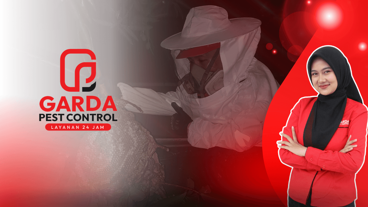 Jasa Pembasmi Tawon Vespa di Cimahi