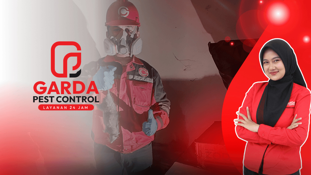 Jasa Pembasmi Tikus di Bandung Terbaik dengan Harga Murah