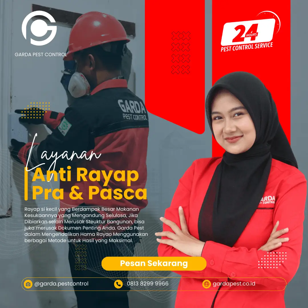 Jasa Pembasmi Rayap di Semarang