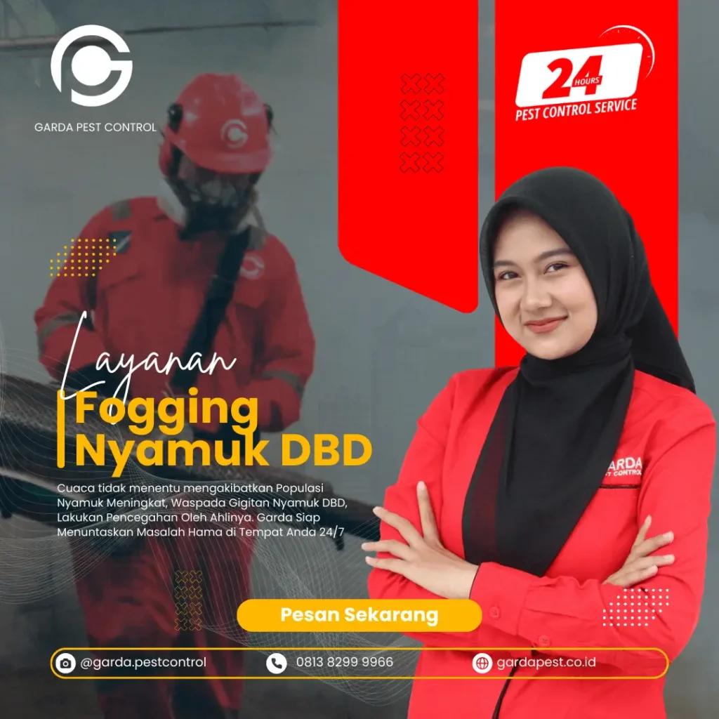 Jasa Fogging Nyamuk Perumahan Jember Terdekat 24 Jam