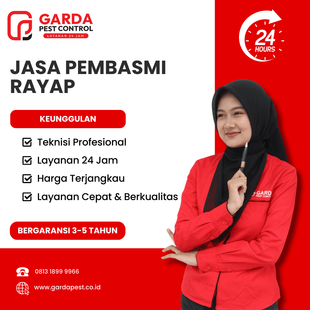 Jasa Anti Rayap untuk Rumah