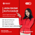 Jasa Pembasmi Kutu Kasur Murah Bergaransi