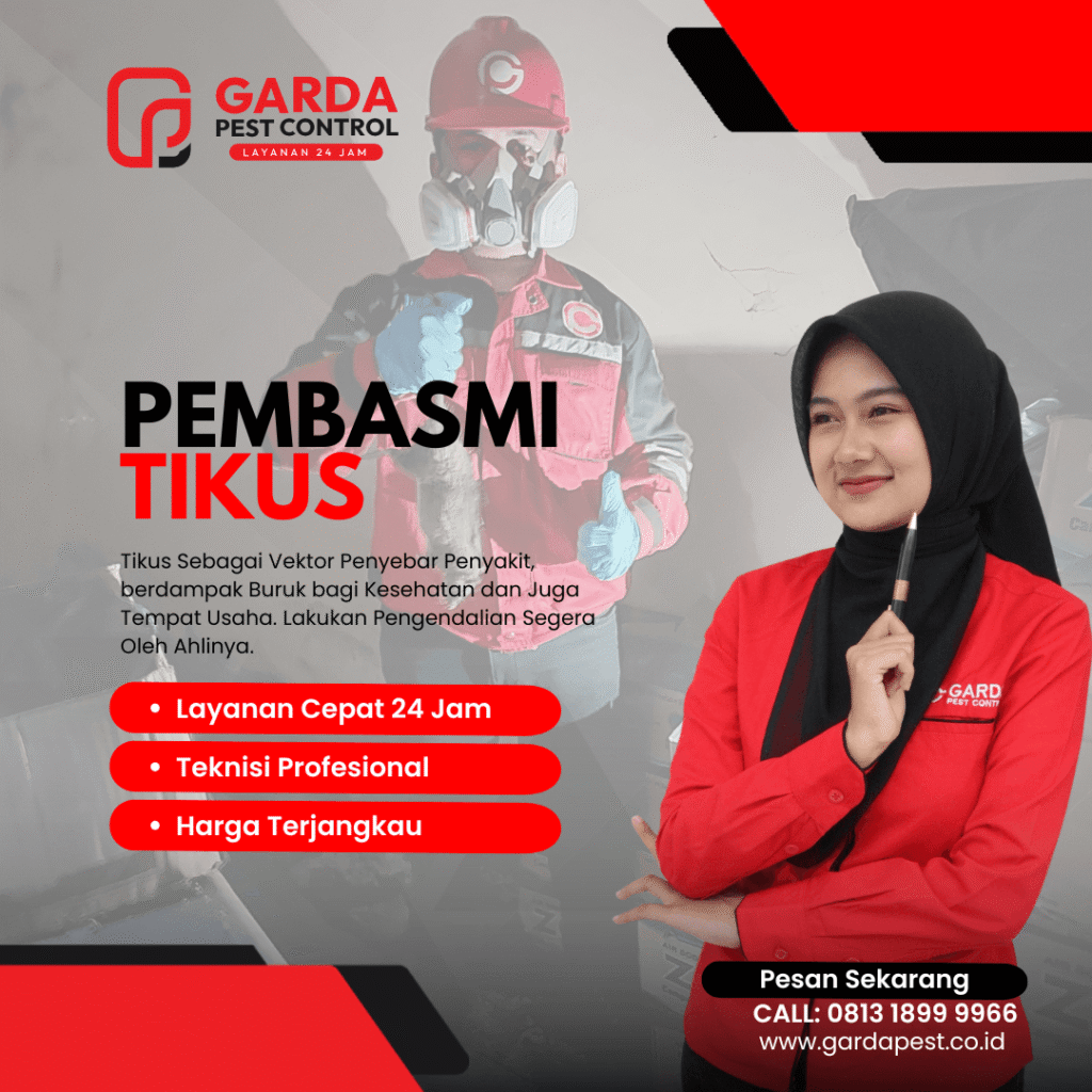 Jasa Pembasmi Tikus Pelabuhan Ratu Berkualitas