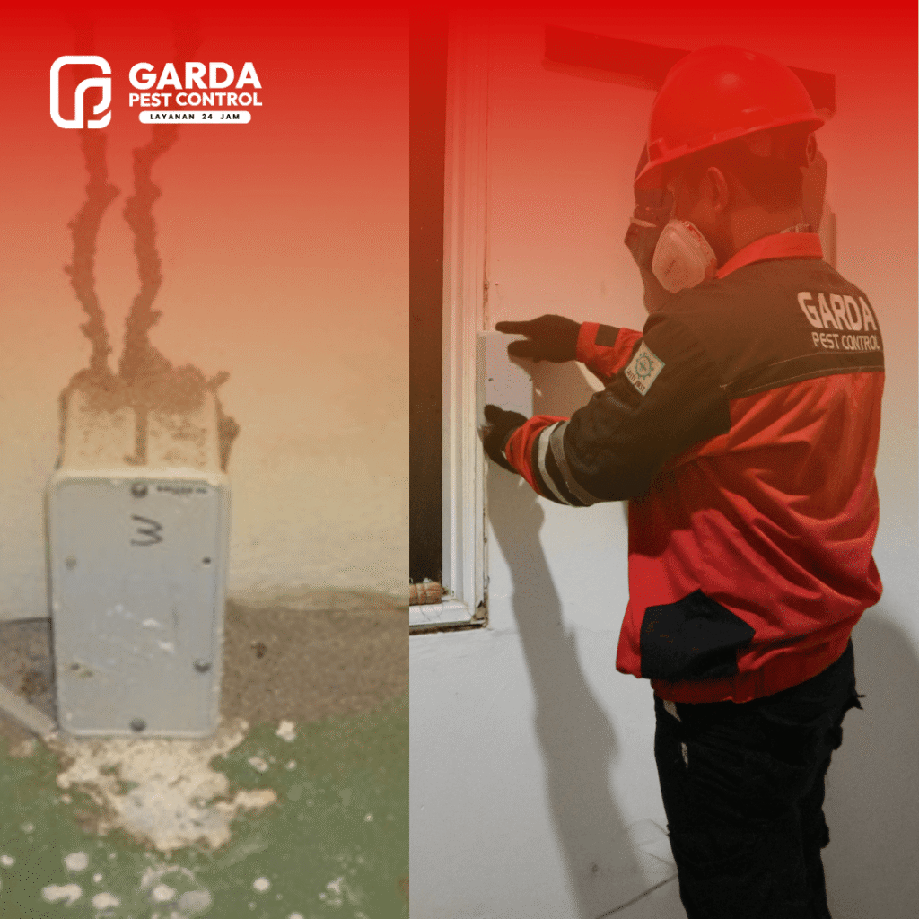 Anti Rayap Metode Baiting