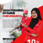 Jasa Fogging Nyamuk DBD di Malang