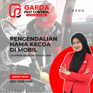 Jasa Basmi Kecoa di mobil Terdekat