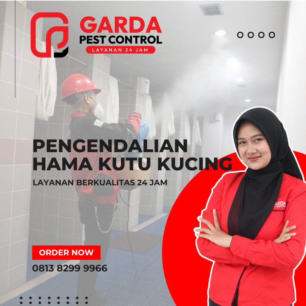 Ahli kutu kucing terdekat