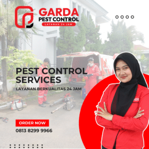 Jasa Pembasmi Hama Pest Control Terdekat